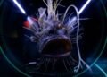 Deep Ocean Exploration 2026 New Species — Deep Ocean Exploration 2026 New Species: Essential Discoveries — Photo by Meri Verbina on Pexels