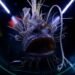 Deep Ocean Exploration 2026 New Species — Deep Ocean Exploration 2026 New Species: Essential Discoveries — Photo by Meri Verbina on Pexels