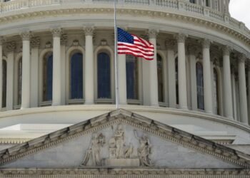 2026 Political Appointment Process Voters Guide — 2026 Political Appointment Process Voters Guide: Essential Steps — Photo by David Dibert on Pexels