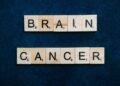 2026 Neuroscience Breakthroughs — 2026 Neuroscience Breakthroughs: 7 Essential Discoveries — Photo by Anna Tarazevich on Pexels