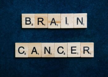 2026 Neuroscience Breakthroughs — 2026 Neuroscience Breakthroughs: 7 Essential Discoveries — Photo by Anna Tarazevich on Pexels