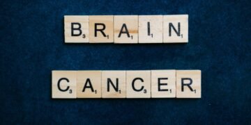 2026 Neuroscience Breakthroughs — 2026 Neuroscience Breakthroughs: 7 Essential Discoveries — Photo by Anna Tarazevich on Pexels