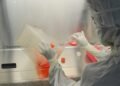Gene Therapy Breakthroughs 2026 — Gene Therapy Breakthroughs 2026: 7 Essential Patient Insights — Photo by Satheesh Sankaran on Pexels