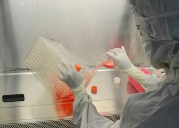Gene Therapy Breakthroughs 2026 — Gene Therapy Breakthroughs 2026: 7 Essential Patient Insights — Photo by Satheesh Sankaran on Pexels