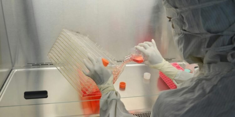 Gene Therapy Breakthroughs 2026 — Gene Therapy Breakthroughs 2026: 7 Essential Patient Insights — Photo by Satheesh Sankaran on Pexels