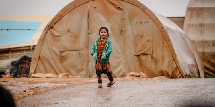 2026 global refugee crisis policy responses — 2026 Global Refugee Crisis Policy Responses: Essential Solutions — Photo by Ahmed akacha on Pexels