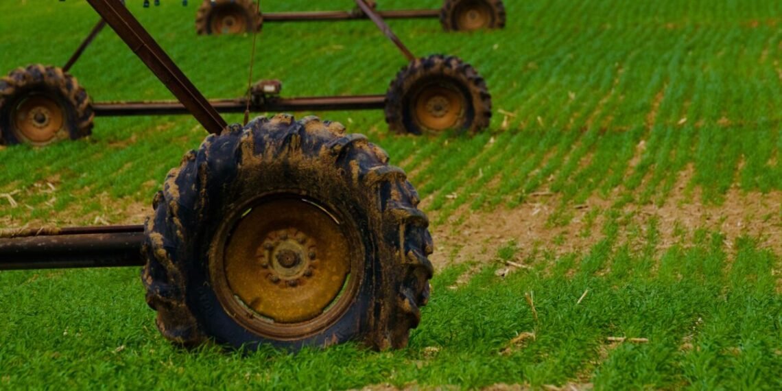 2026 Scientific Advances Sustainable Agriculture — 2026 Scientific Advances Sustainable Agriculture: Essential Innovations — Photo by Ryan Lansdown on Pexels