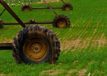 2026 Scientific Advances Sustainable Agriculture — 2026 Scientific Advances Sustainable Agriculture: Essential Innovations — Photo by Ryan Lansdown on Pexels