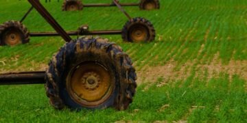 2026 Scientific Advances Sustainable Agriculture — 2026 Scientific Advances Sustainable Agriculture: Essential Innovations — Photo by Ryan Lansdown on Pexels
