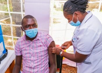 2026 World Health Organization News: Essential Updates — 2026 World Health Organization News: Essential Updates — Photo by Denis Ngai on Pexels