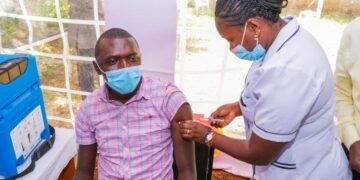 2026 World Health Organization News: Essential Updates — 2026 World Health Organization News: Essential Updates — Photo by Denis Ngai on Pexels